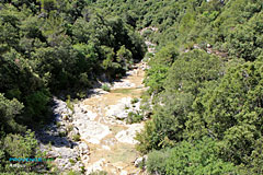 Ampus, baignade dans la Nartuby