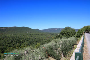 Bagnols en Forêt, paysage de l'Esterel