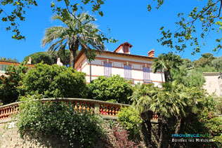 Bormes les Mimosas, maison avec palmier