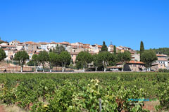 Carnoules, village in the vineyards