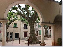 Nans les Pins