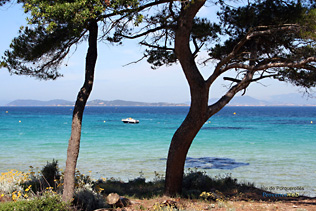 Porquerolles, vue mer