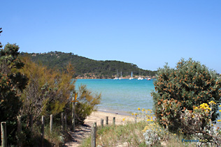 Porquerolles, chemin vers la plage