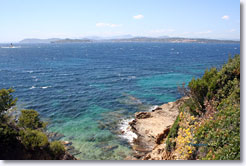 Porquerolles, falaises