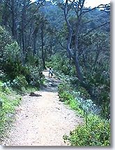 Port Cros, hiking trail