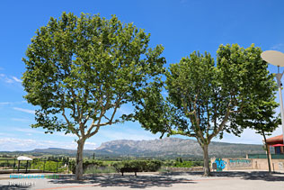 Pourrières, paysage de la Sainte Victoire