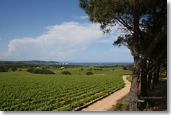 Vue mer des Tournels - Ramatuelle