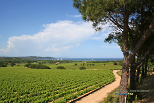 Vue mer des Tournels - Ramatuelle