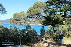 Le Rayol Canadel, walking in the Domaine du Rayol