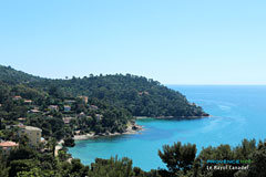 Le Rayol Canadel, pointe du Rayol