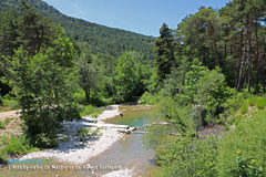 La Roque Esclapon, the Artuby river