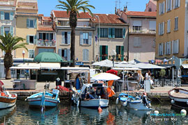 Sanary sur Mer, fishermen on the harbor