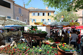 Sainte Maxime, market