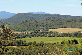 Vignoble de Taradeau