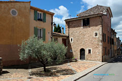 Tavernes, small square with an olive trees Tavernes, small square with an olive trees