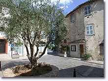 Tourrettes - Olivier