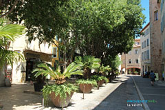 La Valette du Var, place avec palmiers