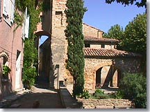 Aubignan - Landscape