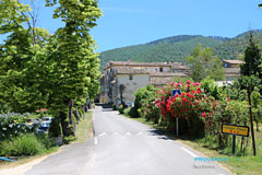 Auribeau, rue principale Auribeau, rue principale