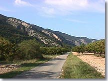 Beaumont du Ventoux, road