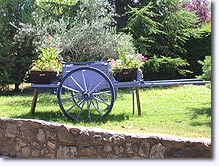 Beaumont de Pertuis, jardin Beaumont de Pertuis, jardin