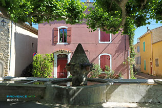 Buisson - 12 HQ photographs