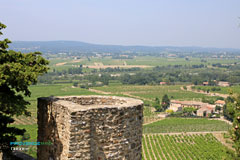Cairanne, ruine du donjon dominant le vignoble Cairanne, ruine du donjon dominant le vignoble