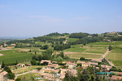 Cairanne, vignes des Côtes du Rhône Cairanne, vignes des Côtes du Rhône
