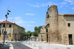 Camaret-sur-Aigues. En pleine récolte du houblon