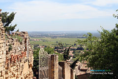 Vignoble de Châteauneuf du Pape