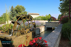 Cheval-Blanc, France (Vaucluse, Provence-Alpes-Cote-d'Azur