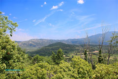 Crillon le Brave, paysage Crillon le Brave, paysage