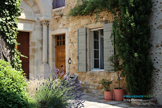 Jonquerettes - 7 HQ photographs