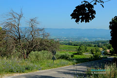 La Bastidonne, landscape