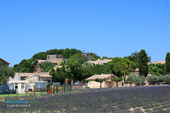 Lagarde Pareol, the village and lavender fields Lagarde Pareol, the village and lavender fields