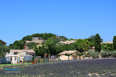 Lagarde Pareol, the village and lavender fields