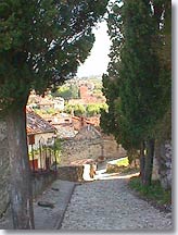Malaucene - Street