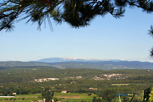 Ménerbes, vue sur le Mont Ventoux