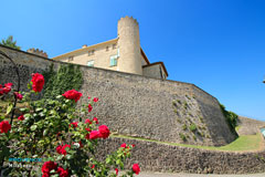 Château de Mirabeau Château de Mirabeau