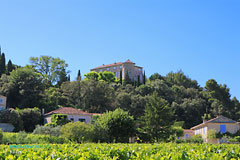 Roaix, castle overlooking the vineyards