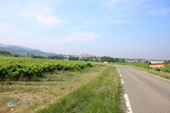 Sablet, village in the Cotes du Rhone vinyards