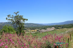 Saignon, paysage du Luberon