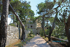 Saumane de Vaucluse, château