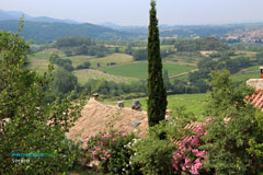 Séguret, paysage de vignobles des Côtes du Rhône