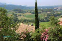 Seguret, Cotes du Rhone vineyards