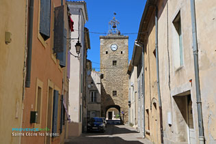 Sainte Cecile les Vignes - 11 HQ photographs