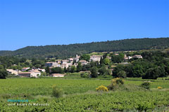 Saint Roman de Malegarde, le village Saint Roman de Malegarde, le village