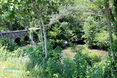 Velleron, la rivière Sorgue