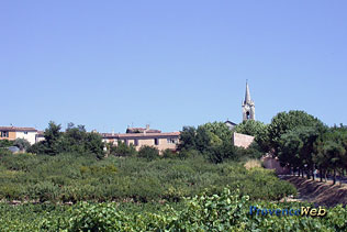 Villars - Vineyards