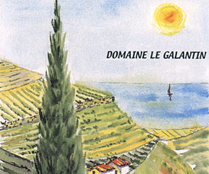 Domaine du Galantin